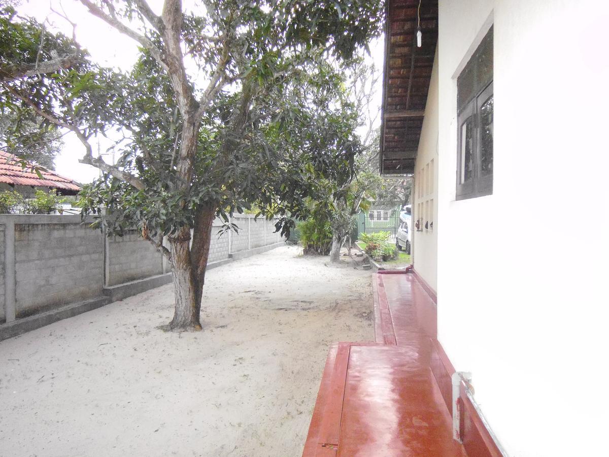 Mama'S Hostel By Taprobane Negombo Exteriör bild