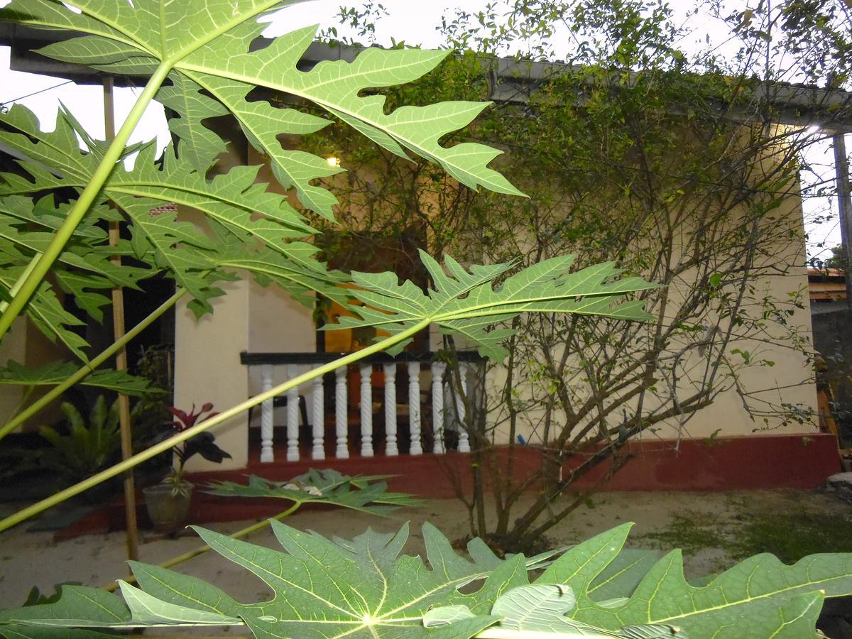 Mama'S Hostel By Taprobane Negombo Exteriör bild